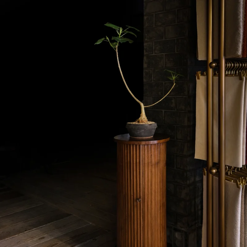 Dorian Column
