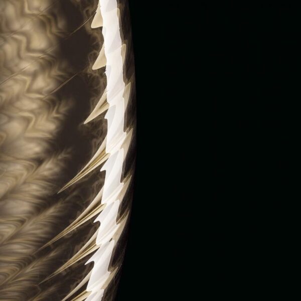 Perseus Floor Lamp