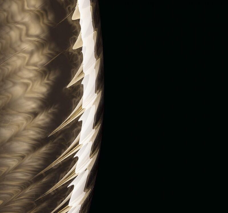 Perseus Floor Lamp
