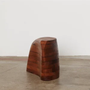 “Stool” from Liminal Bodies