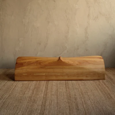“Bench” from Liminal Bodies