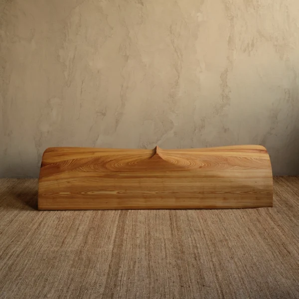 “Bench” from Liminal Bodies