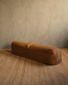 “Bench” from Liminal Bodies