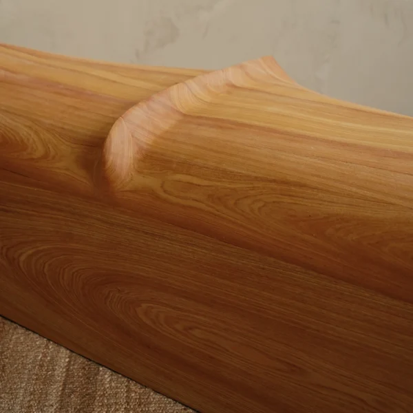 “Bench” from Liminal Bodies