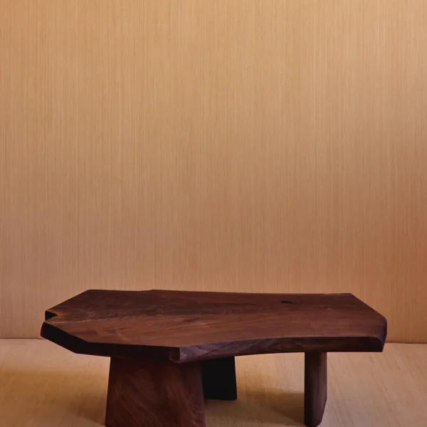 Raul Coffee Table