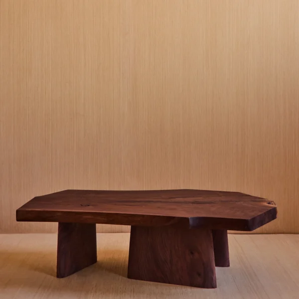 Raul Coffee Table