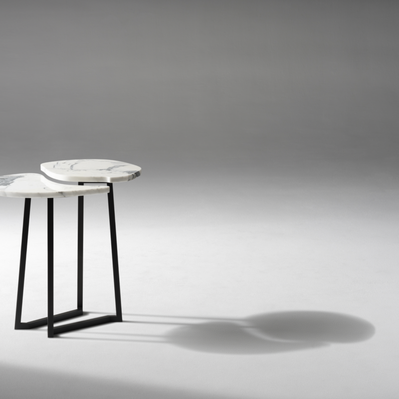 Arthropod Scarab