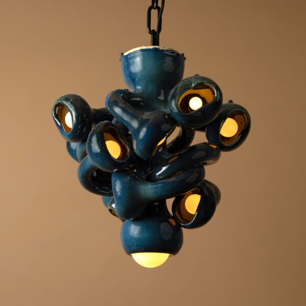 10 Bulb Chandelier_Daniel Shapiro