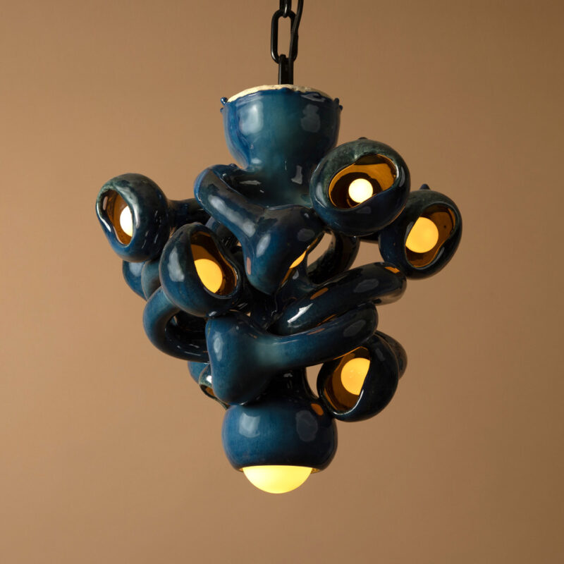 10 Bulb Chandelier_Daniel Shapiro