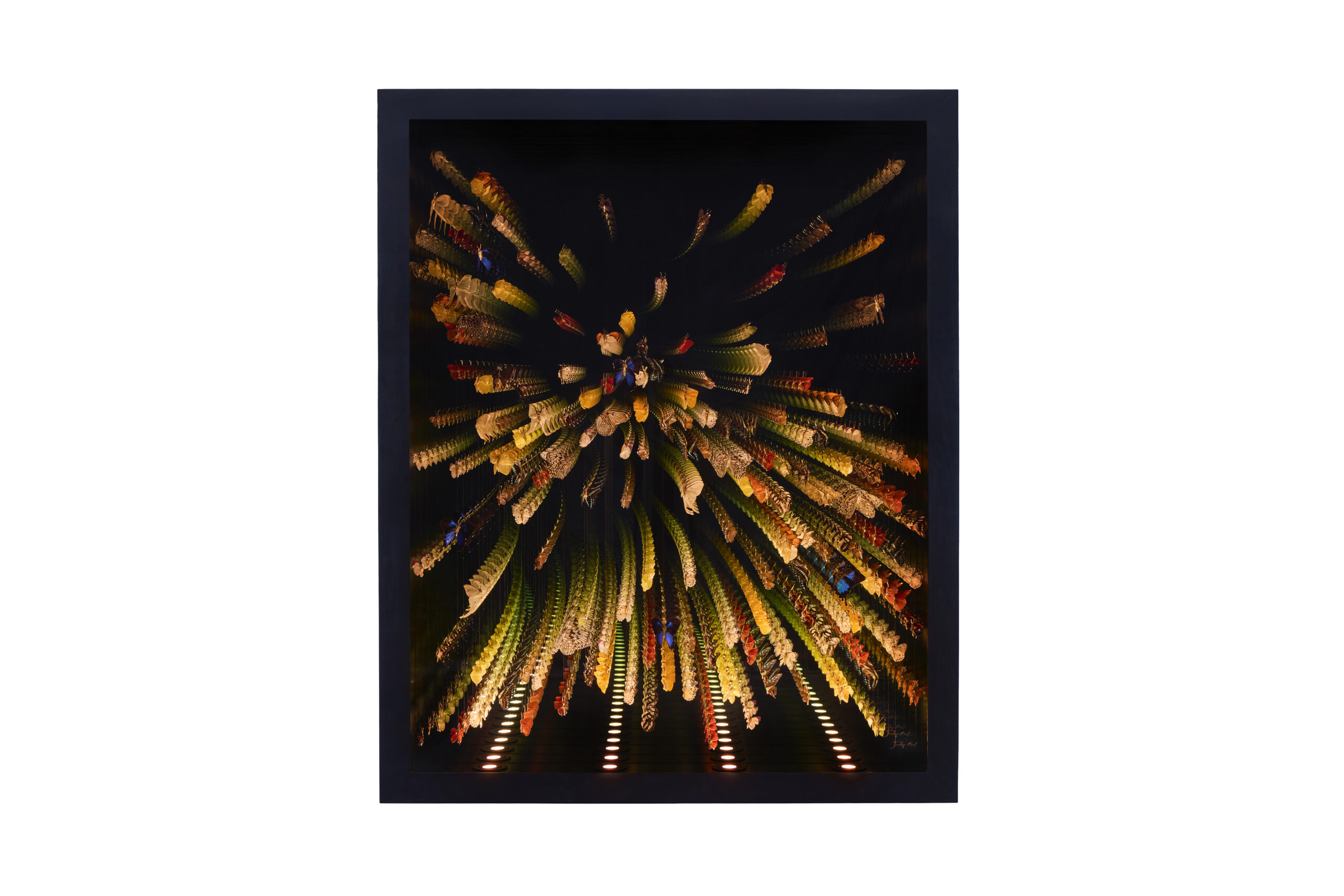 Kaleidoscope – Multi – Coup D'Etat