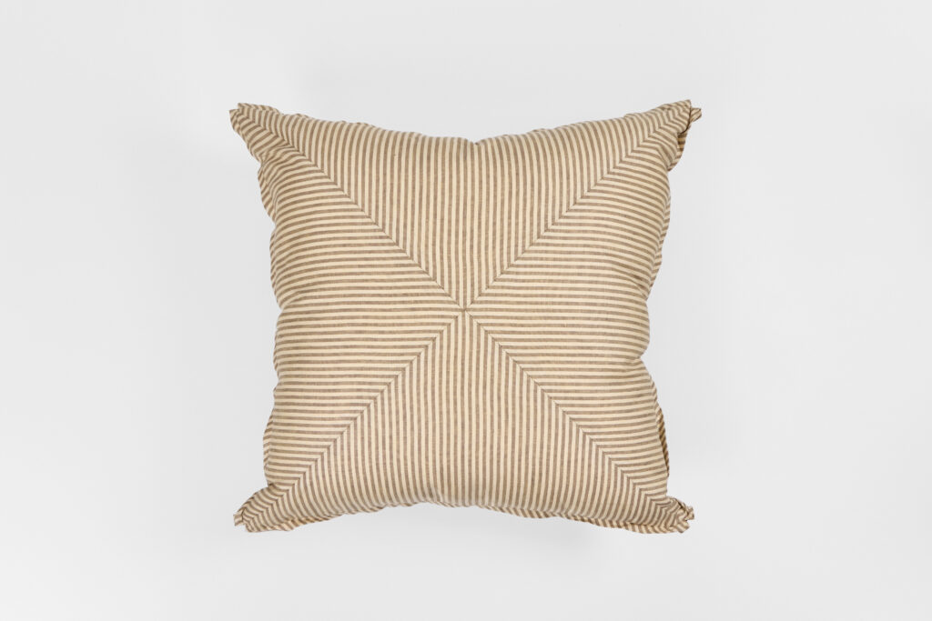 Douglass Throw Pillow