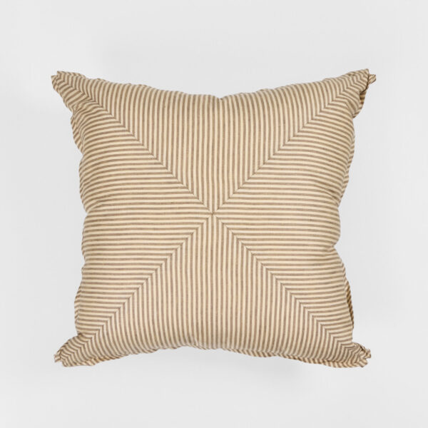 Douglass Throw Pillow