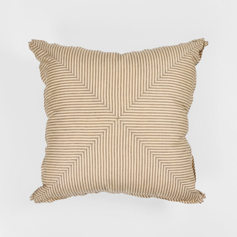 Douglass Throw Pillow