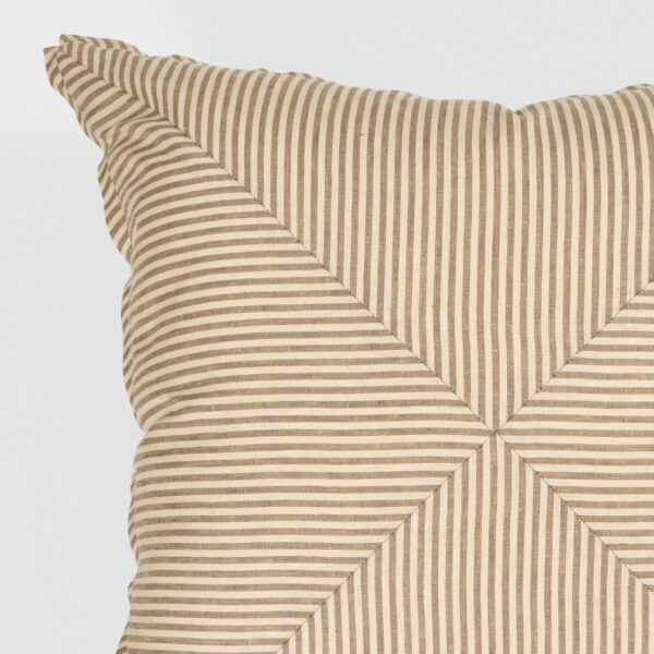 Douglass Throw Pillow