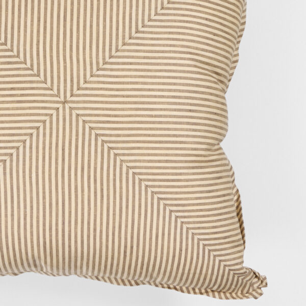 Douglass Throw Pillow