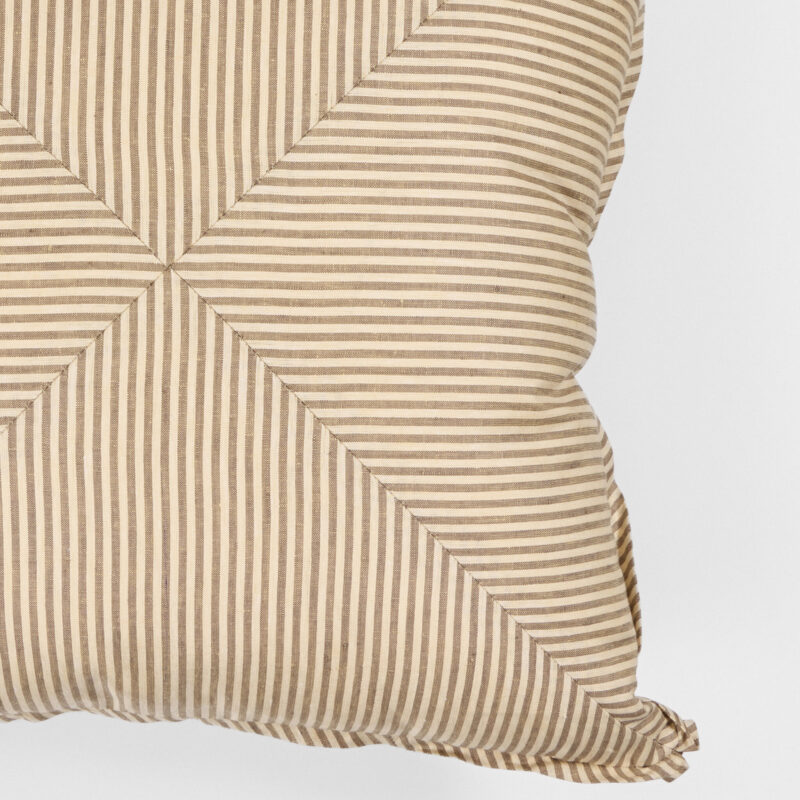 Douglass Throw Pillow