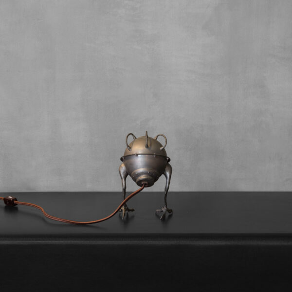 Nickel Diving Bell Bird by Evan Chambers