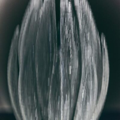 Agave Table Lamp