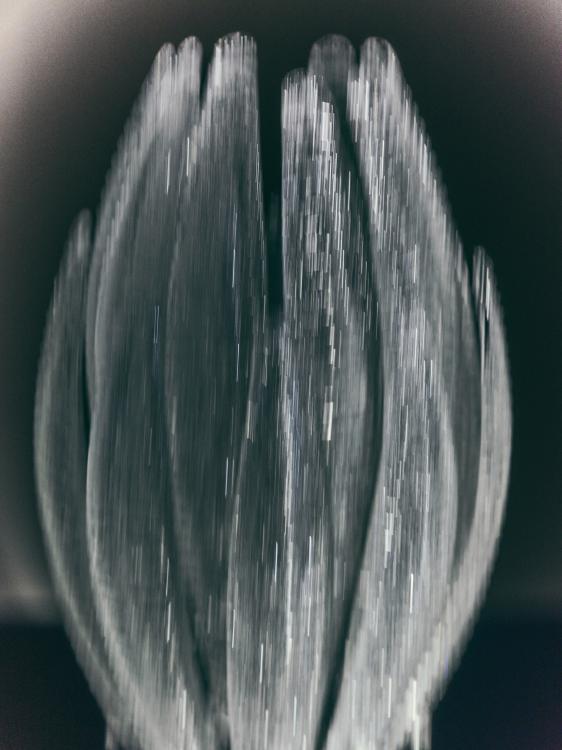 Agave Table Lamp