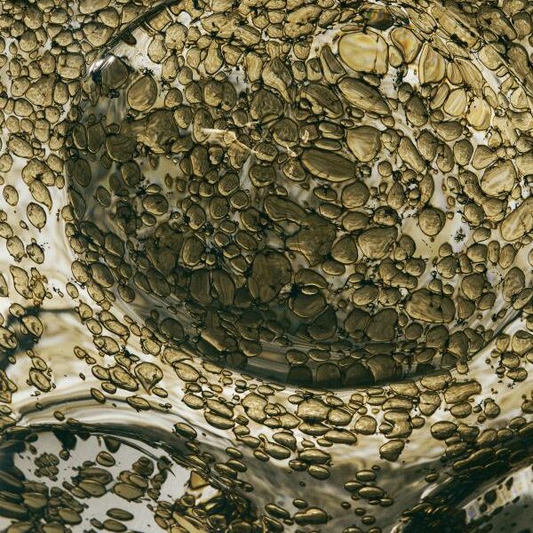 Lithos