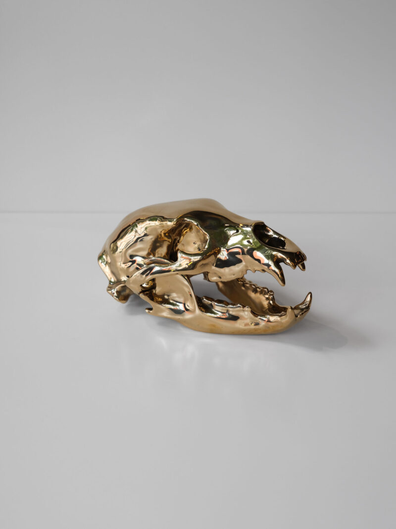 Bronze Bear Skull by Ashley Tudor