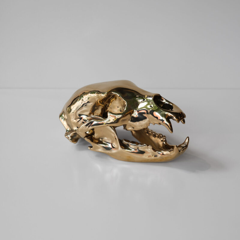 Bronze Bear Skull by Ashley Tudor
