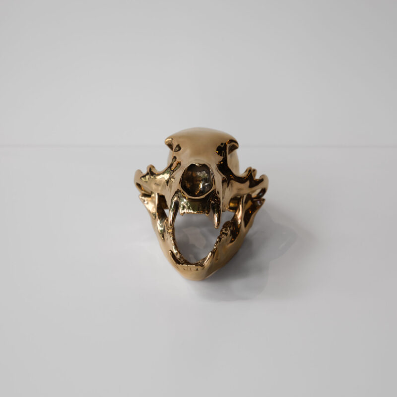 Bronze Bear Skull by Ashley Tudor