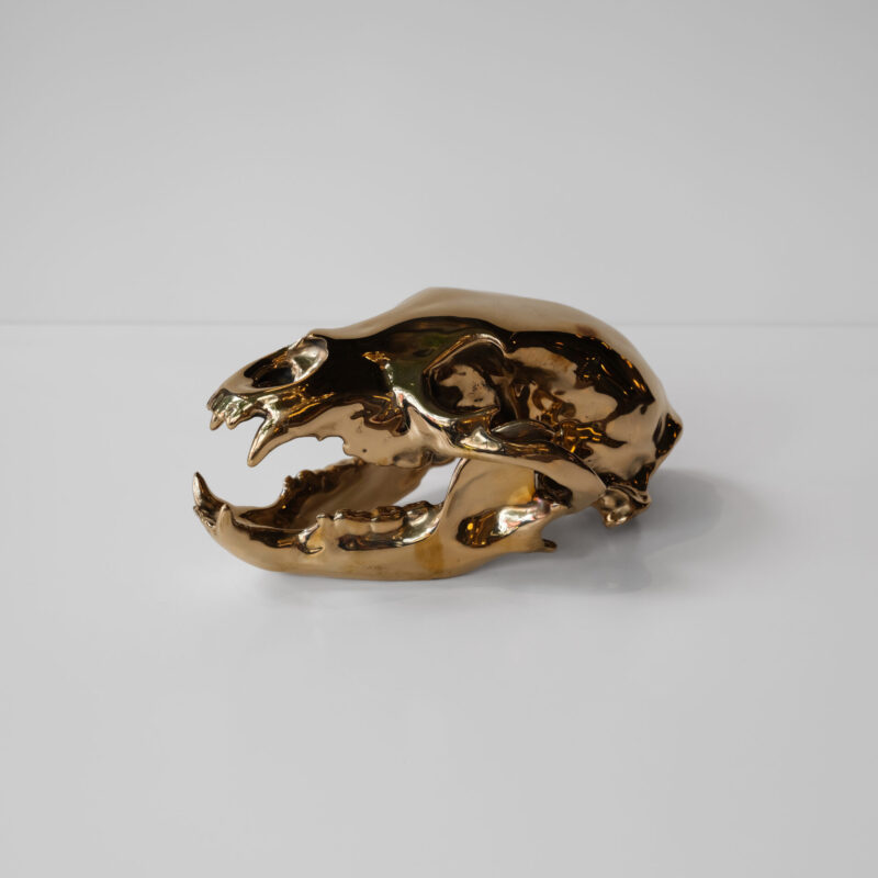 Bronze Bear Skull by Ashley Tudor