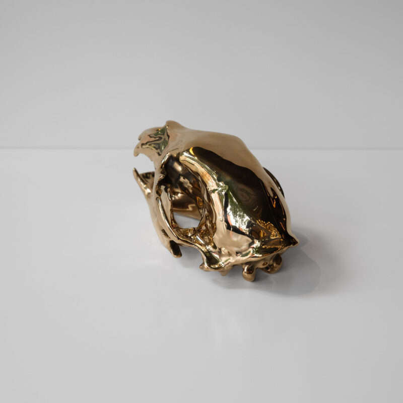 Bronze Bear Skull by Ashley Tudor