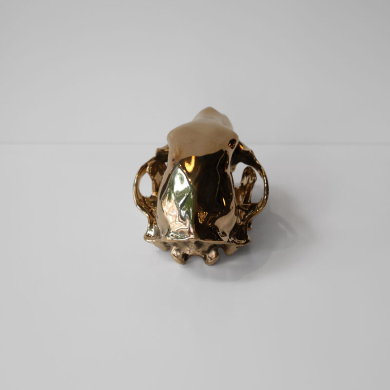 Bronze Bear Skull by Ashley Tudor