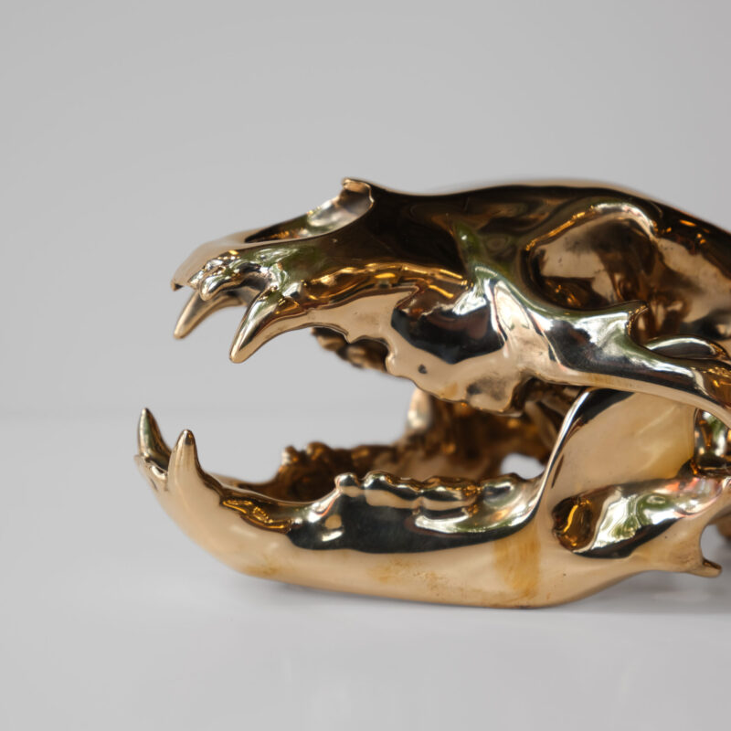 Bronze Bear Skull by Ashley Tudor