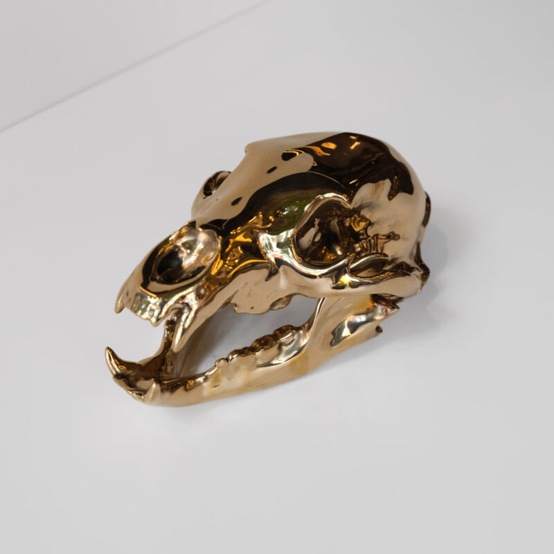 Bronze Bear Skull by Ashley Tudor