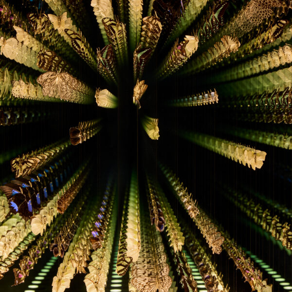 Kaleidoscope – Cool