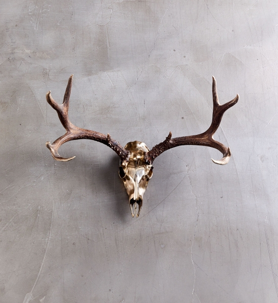 Bronze Deer Mount Large By Ashley Tudor