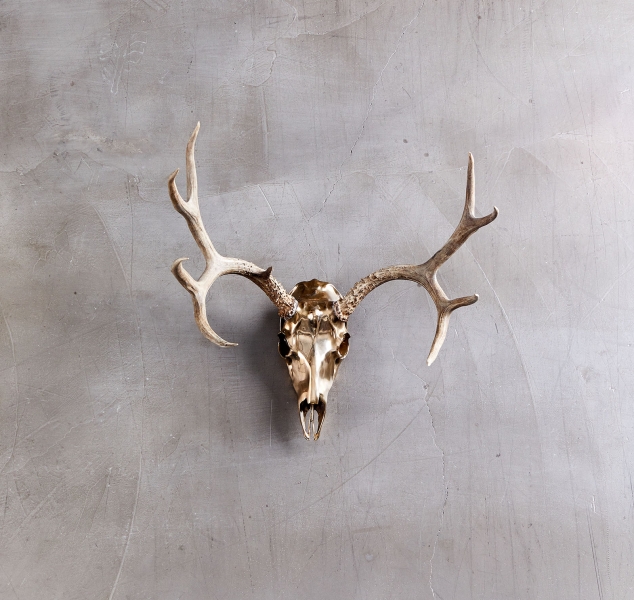 Bronze Deer Mount Small By Ashley Tudor
