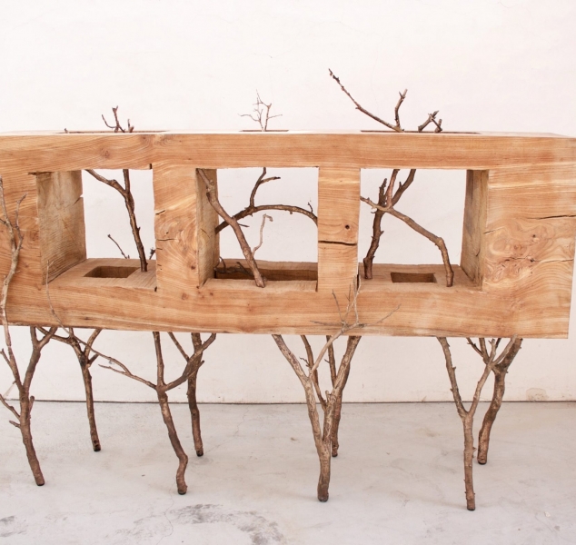 Evolution Console Table by Harry Siter